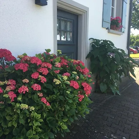 Mit Charme- Aux2platanes- Aussergewoehnlich Schoen Am Bodensee Bed & Breakfast *